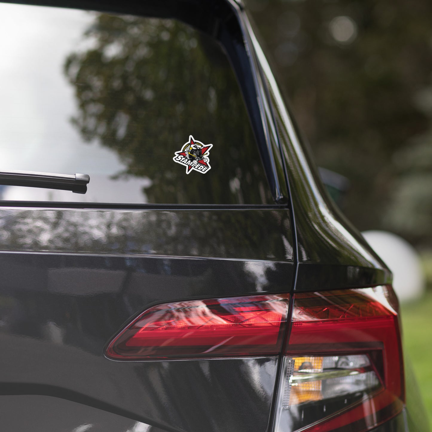 Central Texas Stampede Logo Sticker